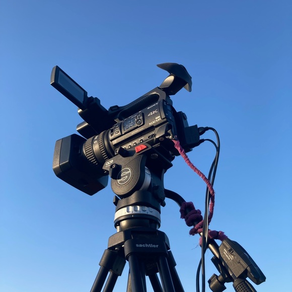 Meet your Posher, Rylan - Picture 1 of 1